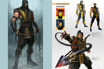 Mortal Kombat Flawless Victory Book