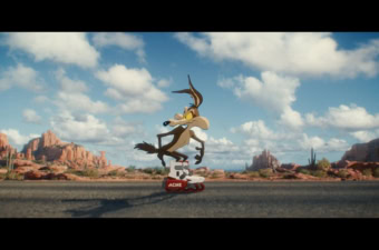 coyote vs acme review