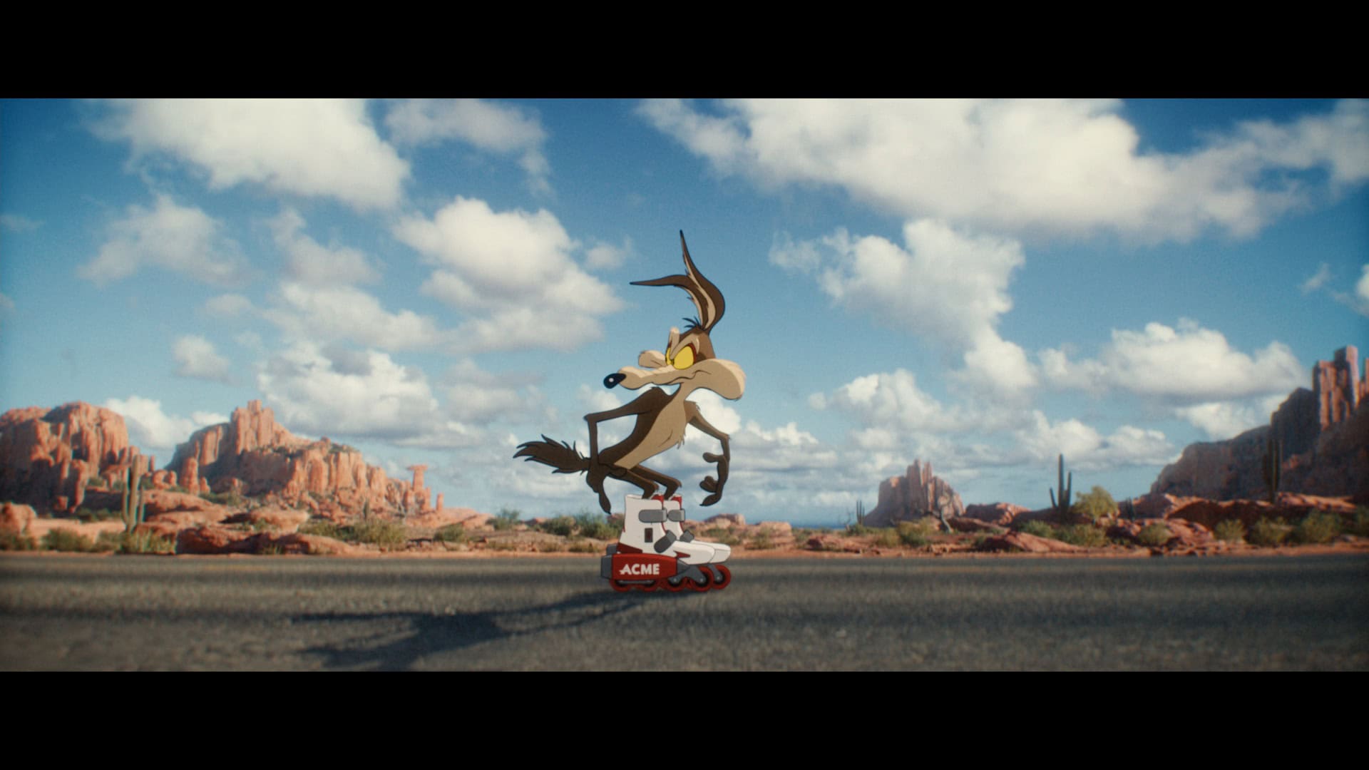 coyote vs acme review